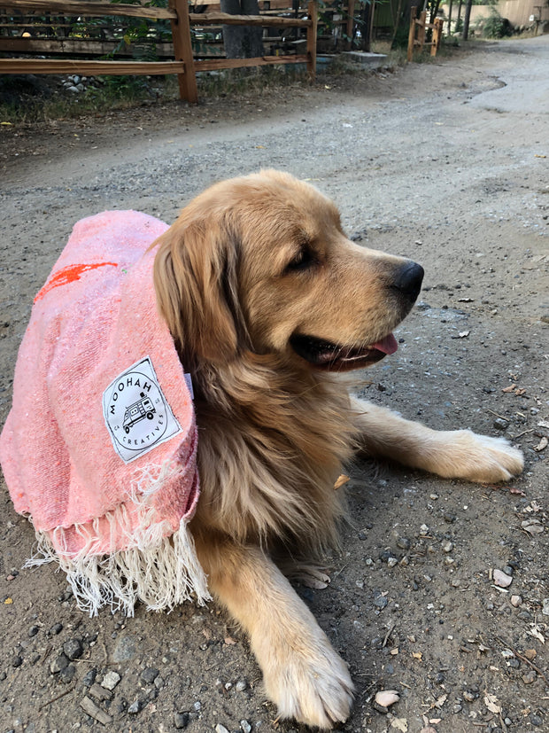 Thunderbird Blanket in Coral Kiss (4' x 6.5')